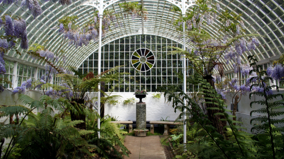 Explore These Wintertime Escapes around the Twin Cities | Counselor Realty